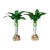 Pair Coastal Tropical Canvas Royal Palm Trees For Sale