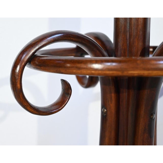 Model Parrot N ° 10.401 Coat Rack in Beech from Thonet, 1920s For Sale - Image 13 of 18