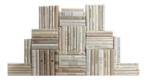 Decorative Books - Beach Book Wall - Set of 75 Beige Books