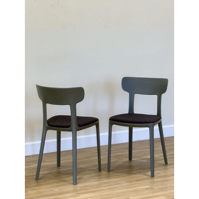 Early 21st Century Vintage Canova Dining Chairs by Claus Breinholt for Infiniti, 2010s, Set of 4 For Sale - Image 5 of 11