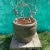 Late 20th Century Large Outdoor/Indoor Glazed Ceramic Planter For Sale - Image 12 of 12