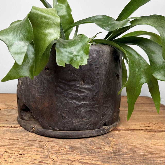 Antique Japanese Hibachi / Fire Pot For Sale - Image 6 of 18