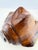 Wood Vintage Hand-Carved Solid Wood Conch Shell Sculpture For Sale - Image 7 of 12