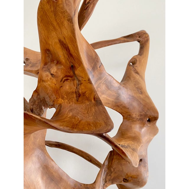 Extra Large Freestanding Teak Root Art Sculpture by Made Goods Marcianus With Custom Matte Metal Base For Sale In Los Angeles - Image 6 of 13