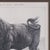 Vintage Stamp Proof Sketch, English, Barry Driscoll, Welsh Black Bull, Framed For Sale - Image 6 of 10
