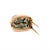 Authentic Ancient Egyptian Scarab Amulet Brooch - Carved Hieroglyphs - Gold For Sale - Image 6 of 6