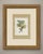 Tanagers print after Descourtilz, Estampa 30 in the 1944 Ornitologia Brasileira, a limited Brazilian edition of Jean-...