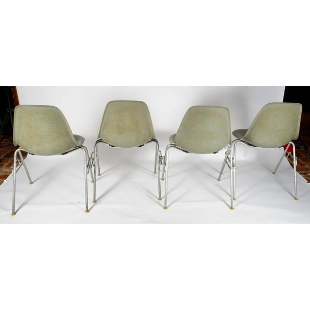 1960s Vintage Eames Fiberglass DSS Stacking Chairs by Charles and Ray Eames for Herman Miller Set of 4 For Sale - Image 5 of 12