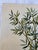 1980s Chinoiserie Bamboo Embroidery Panel For Sale - Image 5 of 10