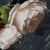 Roses I by Jon Doran | Oil on Panel Cut White Roses Still Life For Sale In Denver - Image 6 of 9