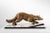 F. H. Danvin, Sculpture of a Fox, 1973, Bronze on Marble For Sale - Image 3 of 13