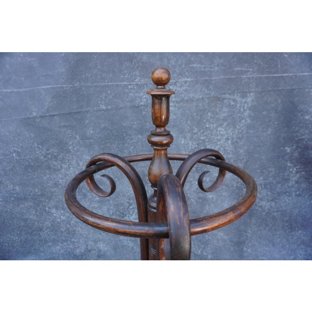 Wood Thonet Bentwood Cane & Umbrella Stand 1900 For Sale - Image 7 of 8