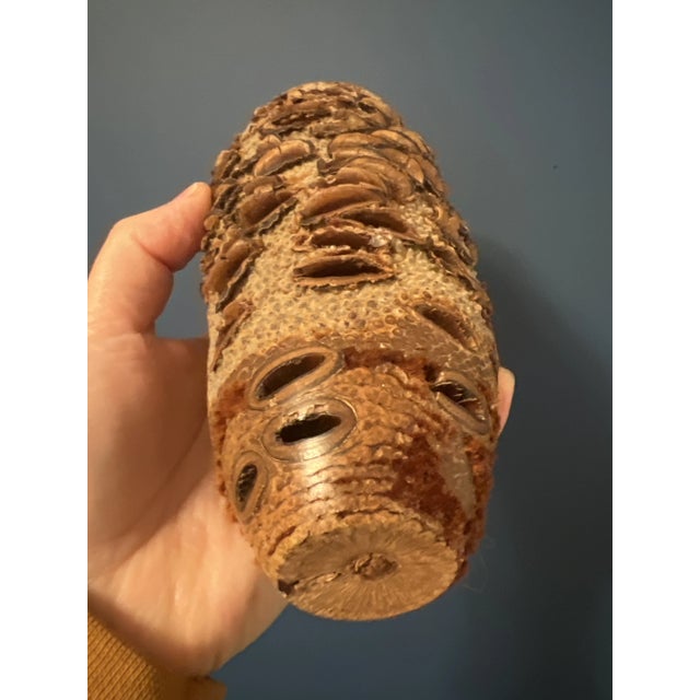 Vintage Organic Banksia Seed Vases- Set of 3 For Sale - Image 10 of 12