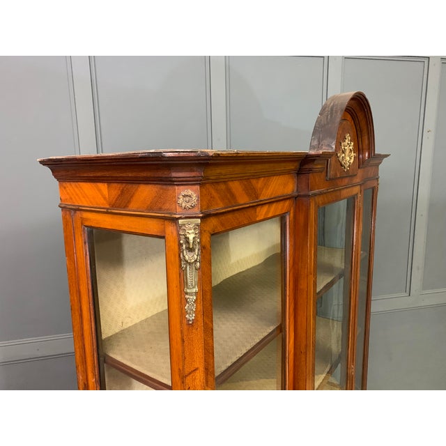 Edwardian Kingwood and Walnut Display Cabinet, 1900s For Sale - Image 12 of 13