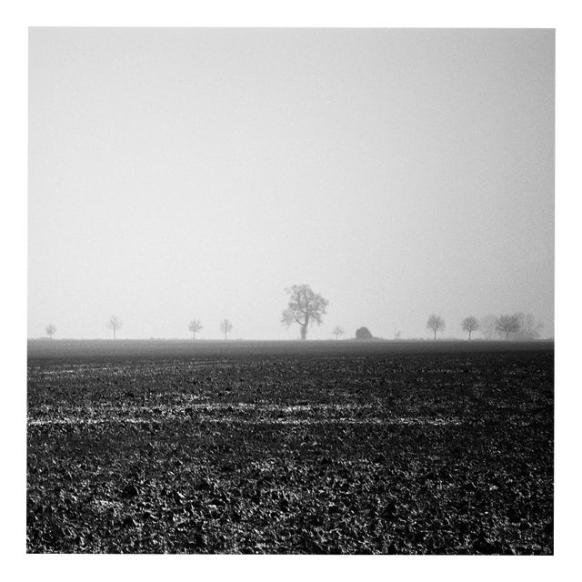 Paul Cooklin, Castle Hill Field, Occold, Suffolk, Edition of 50 For Sale