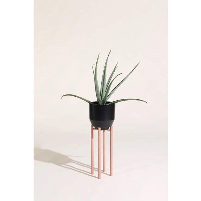 8" Inch Planter Stand - Peach For Sale - Image 4 of 5