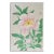 Vintage 1950s Kawarazaki Shodo Pink Peony Woodblock Print For Sale