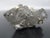 Genuine Fossil Shell Ammonite South Dakota Fox Hills Formation Scaphite For Sale - Image 4 of 6