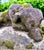 Cast Stone Dog Garden Ornament Statue With Moss Patina Mid 20th Century For Sale - Image 14 of 15
