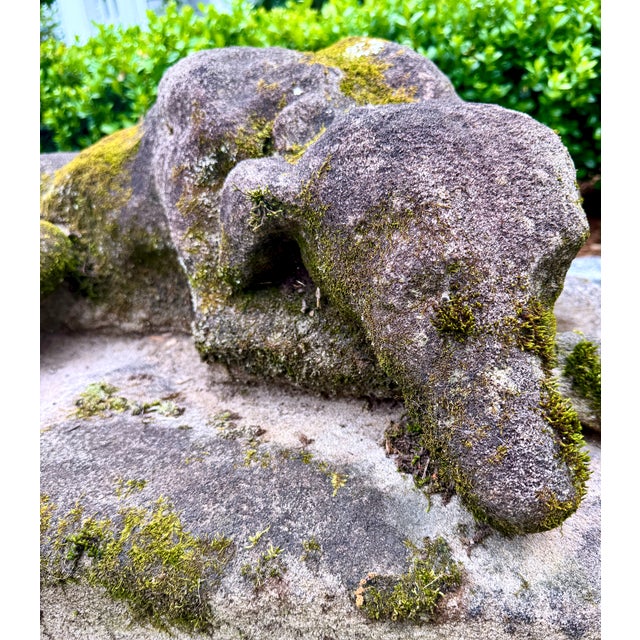 Cast Stone Dog Garden Statue With Moss Patina Mid 20th Century For Sale - Image 14 of 15