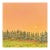 A Day Ends 6" X 6" Acrylic Painting Forest Sunset Landscape Original Wall Art For Sale