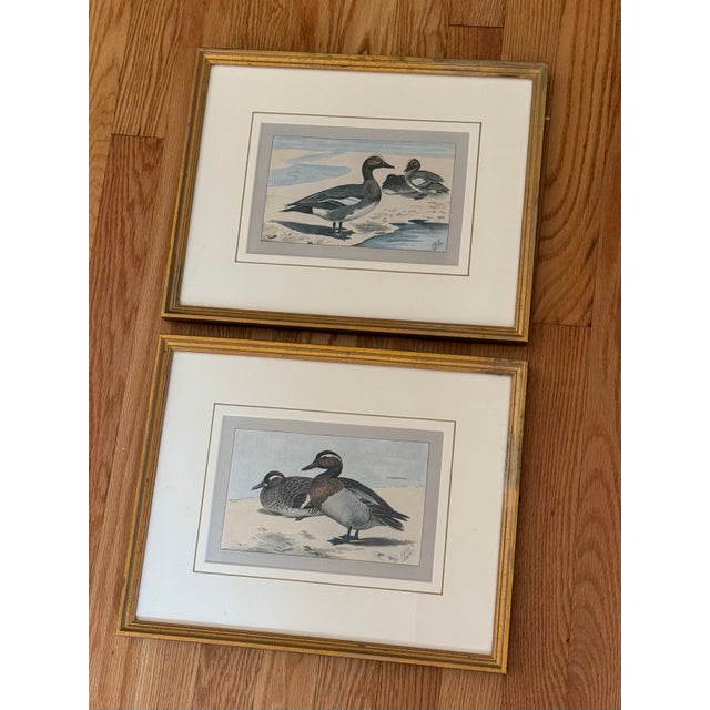 1930s Pair of Framed Antique Chromolithograph Duck Prints For Sale - Image 9 of 9