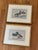 1930s Pair of Framed Antique Chromolithograph Duck Prints For Sale - Image 9 of 9