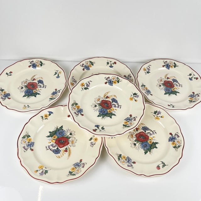 Ceramic 20th Century Agreste Dinner Plates from Sarreguemines, 1970s, Set of 6 For Sale - Image 7 of 13