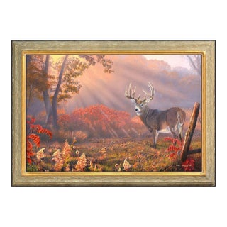 His Majesty, Pat Pauley For Sale