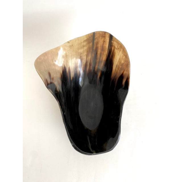 2000 - 2009 Organic Modern Steer Horn Bowl For Sale - Image 5 of 7