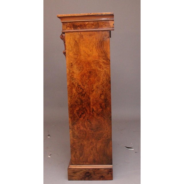 19th Century Burr Walnut Cabinet, 1860s For Sale - Image 6 of 9