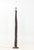 Contemporary Petrified Wood Floor Lamp For Sale - Image 3 of 6
