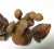 Brown Japanese Shōwa Carved Boxwood Okimono With Cicada For Sale - Image 8 of 11