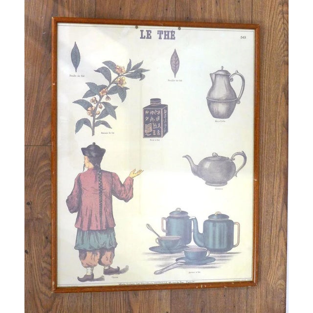 Mid-Century French Educational Poster on Tea For Sale - Image 10 of 10