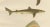 Late 19th Century W. v. Wright and C. Erdmann, Sharks and Skate from Pisces Scandinaviae Collection, 1895, Print For Sale - Image 5 of 11