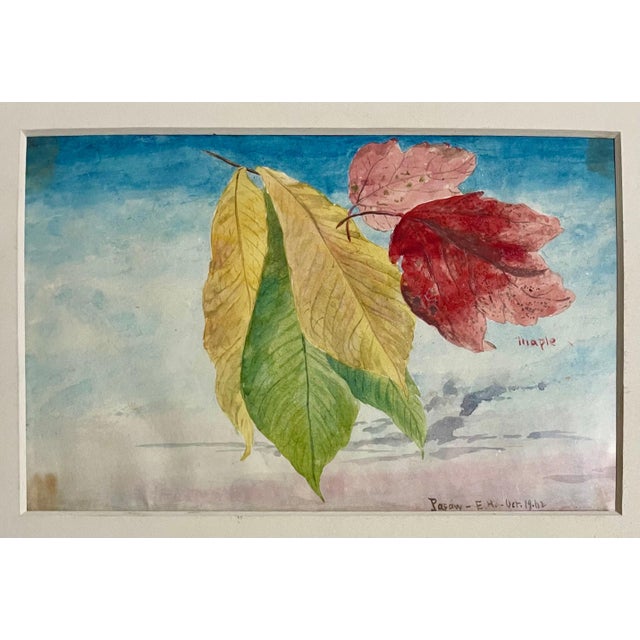 Charles De Wolf Brownell, Maple Leaves Watercolor Painting 19th C. American Artist Charles DeWolf Brownell, 1902 For Sale
