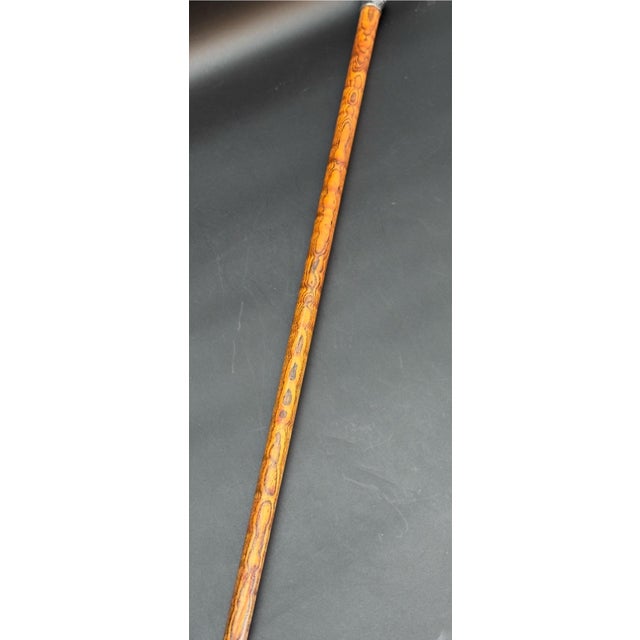 Antique Victorian Silver Mounted Walking Stick For Sale - Image 13 of 17