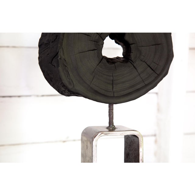 Om Collection Yakisugi Modern Organic Sculpture For Sale In San Antonio - Image 6 of 8