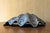 Fantastic vintage decorative clamshell dish crafted from heavy metal. This substantial piece is thick, weighty, and...