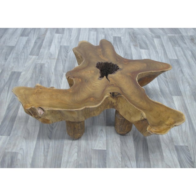 2020s Free Form Brown One Slab Teak Living Edge Coffee Table For Sale - Image 5 of 8