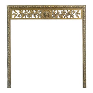 Antique Regency Bronze Fireplace Insert With Lion Head Motif For Sale