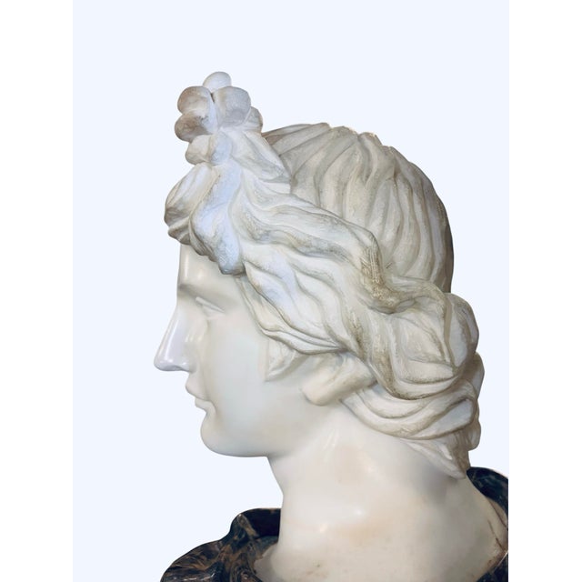 White Late 20th Century Monumental Apollo Belvedere Marble Bust on Veined Carrara Marble Pedestal For Sale - Image 8 of 12