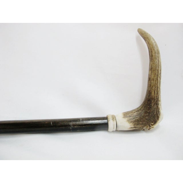 Bone Carved Deer Antler Grim Reaper Face Hidden Blade Folk Art Walking Stick Cane For Sale - Image 7 of 12