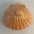 This is an American Folk Art Ceramic Sea Shell box. It’s from an ICCO Mold, 1986 but the artist created their piece in...