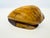 Vintage Hand-Carved Solid Wood Conch Shell Sculpture For Sale - Image 12 of 12