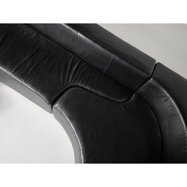 Animal Skin Lara Sofa in Black Leather by Pamio, Toso and Massari for Stilwood, Italy, 1970s, Set of 2 For Sale - Image 7 of 9
