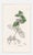 Mid 19th Century Set of Four Antique Hand-Colored Botanical Prints by the Sowerby Family – English Botany Series (C. 19th Century) Set A For Sale - Image 5 of 6