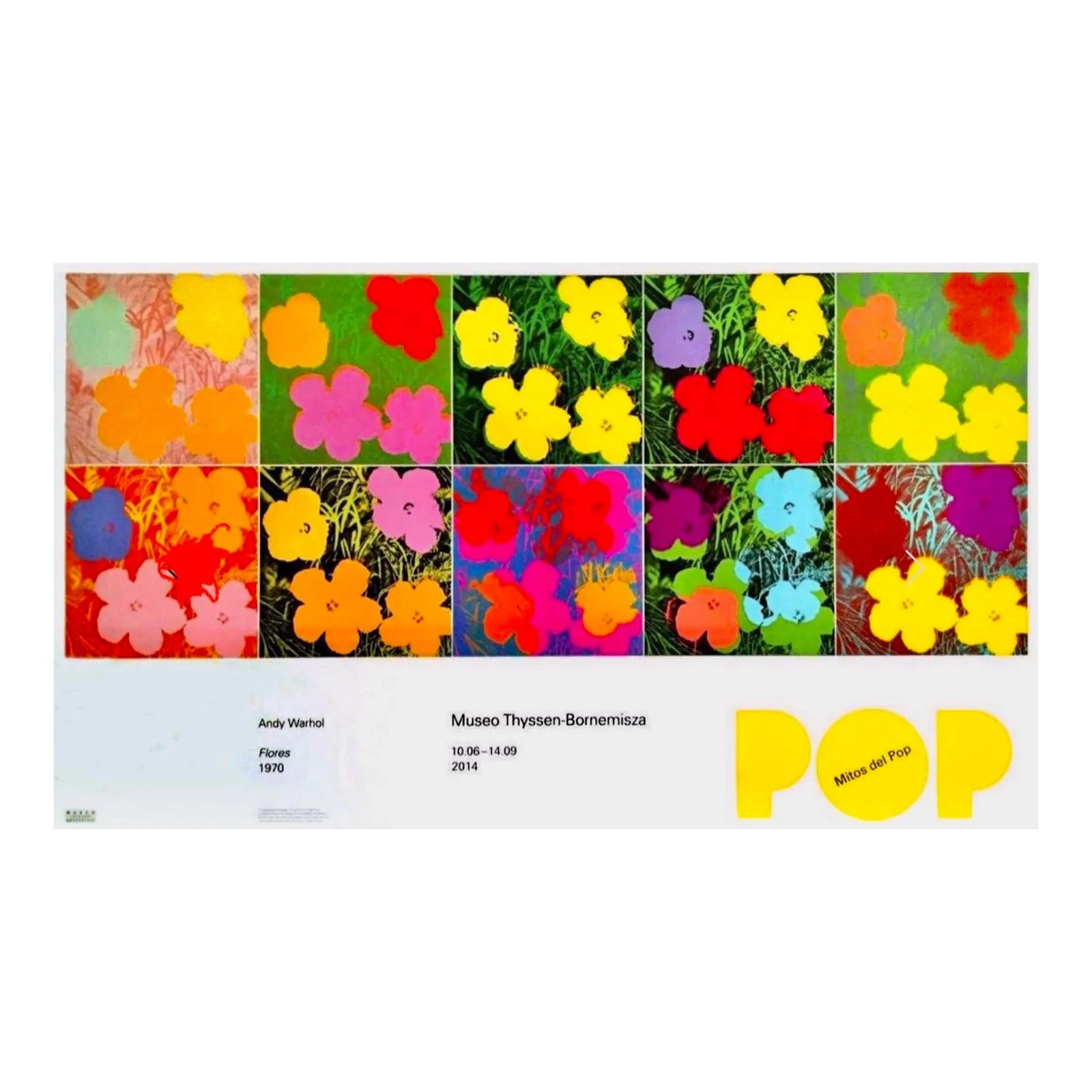 Oversized Flowers 1970 Andy Warhol Foundation Offset Lithograph Pop Art