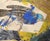 Brown Assemblage #5 (Ornithology Illustrations & Glass Slide With Silver, Gold Paint) by Michael Pauker For Sale - Image 8 of 10