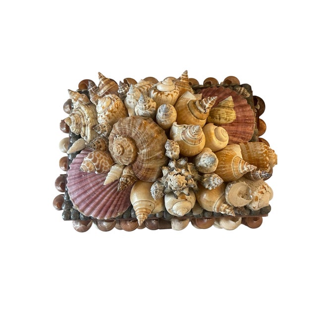 The prettiest shell box with an assortment of shells from around the world encased in unusual shells and lined in a brown...